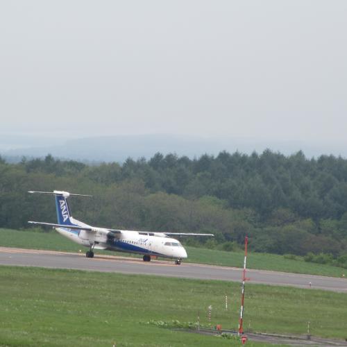 今日の中標津空港