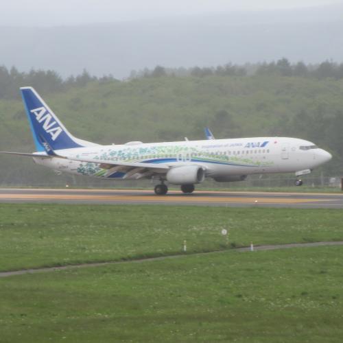 特別塗装機「ANAふるさとJET」