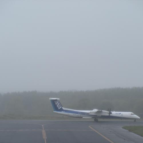 今日の中標津空港