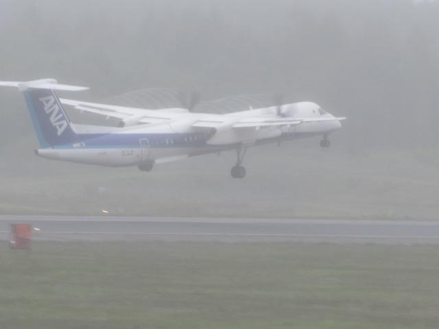 20260607_102204.JPG
