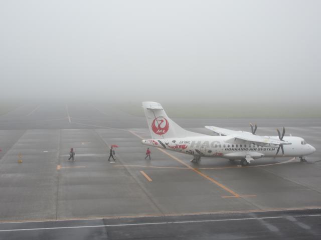 20260608_112656.JPG
