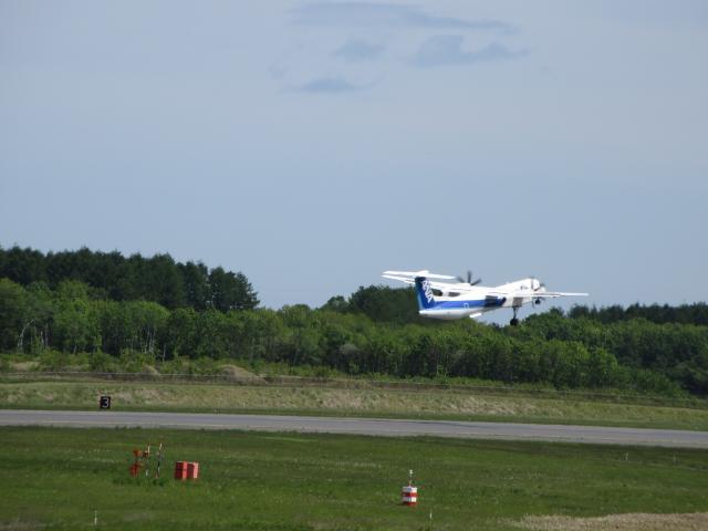 20260611_093559.JPG