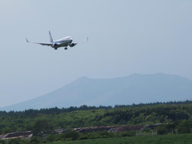 20260613_143912.JPG