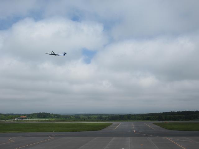 20260614_104759.JPG