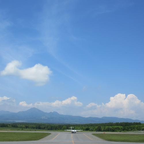 丘珠便