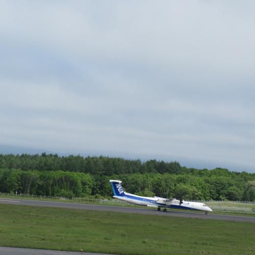 今日の中標津空港