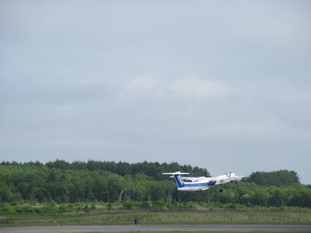 20260616_093351.JPG