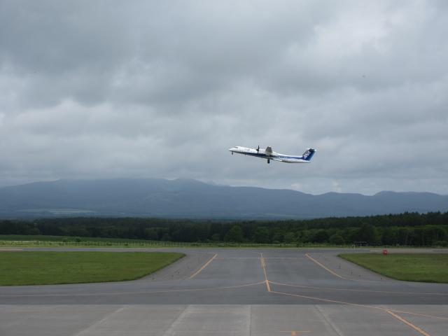 20260619_093618.JPG