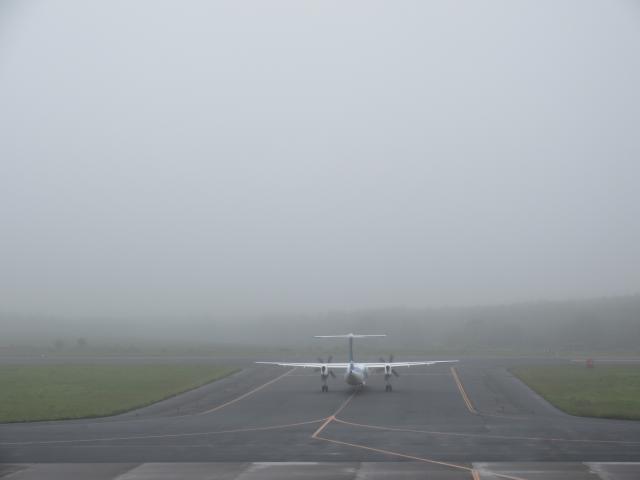 20260621_103550.JPG