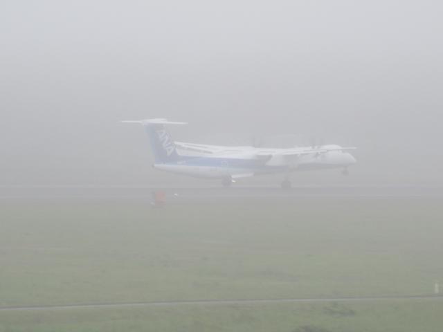 20260621_103614.JPG