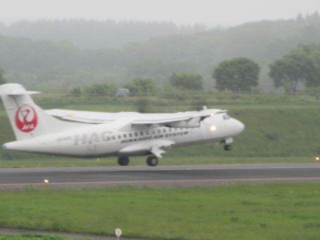 20260621_130734.JPG