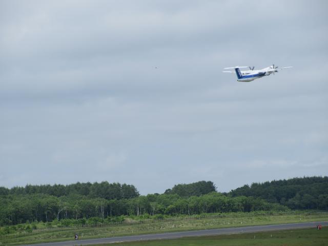 20260622_143326.JPG