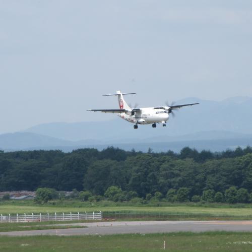 朝の丘珠便