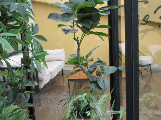 20260710_093118.JPG