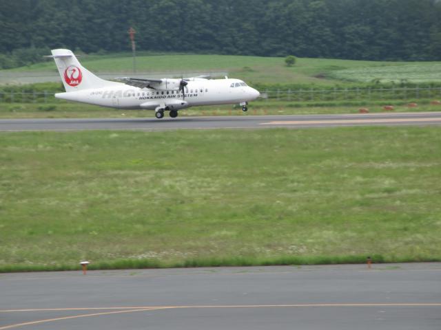 20260711_113246.JPG