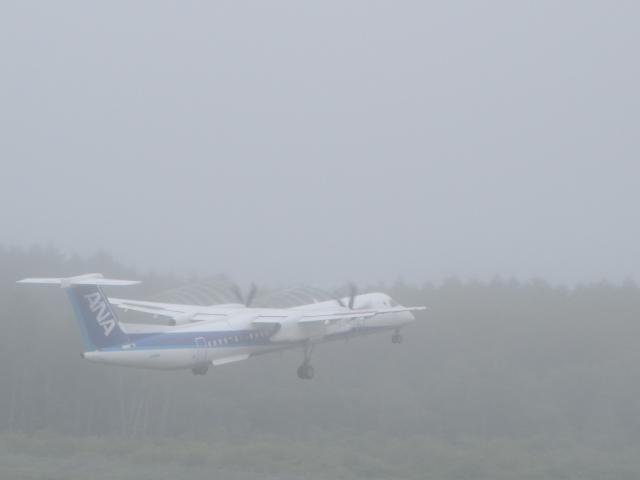 20260713_094812.JPG