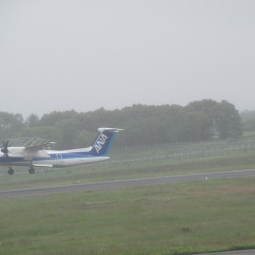 今日の中標津空港
