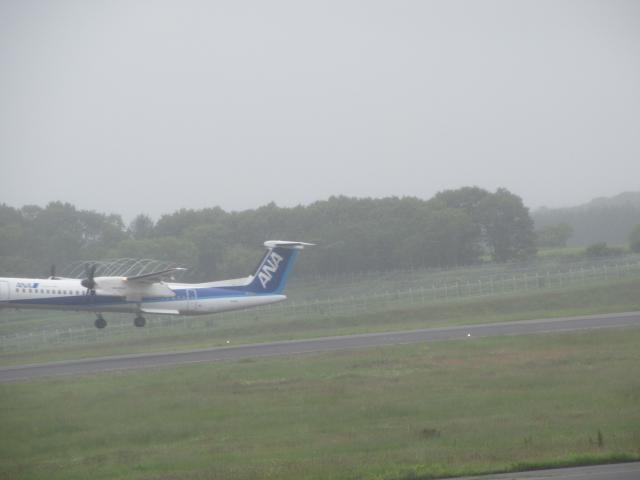 20260715_093910.JPG