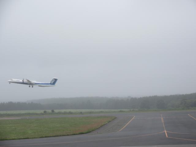 20260715_094109.JPG