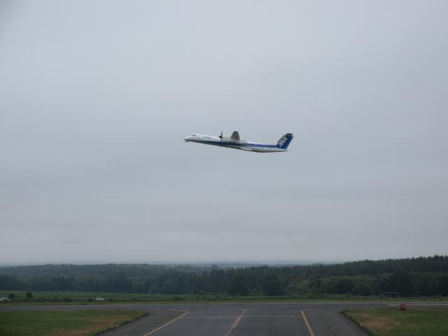 20260716_134239.JPG