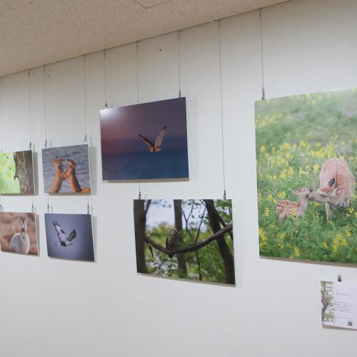 写真展のご案内