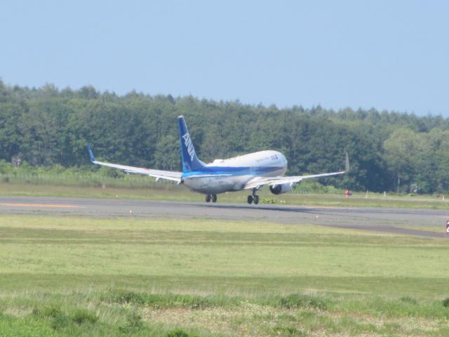20260727_161139.JPG