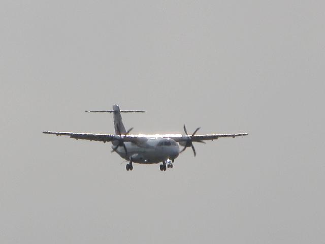 20260727_161326.JPG