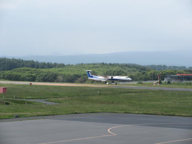 20260728_134051.JPG