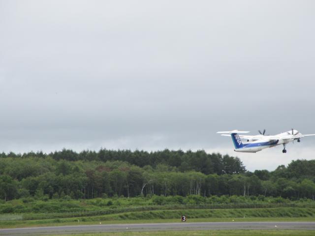 20260809_104046.JPG
