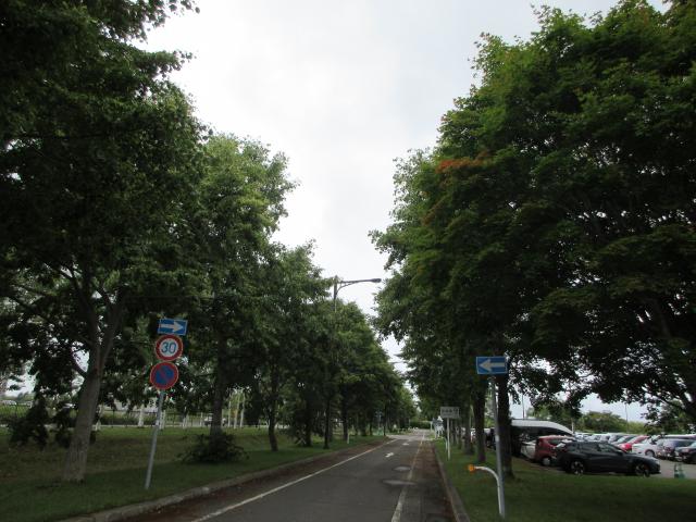 20260813_105936.JPG