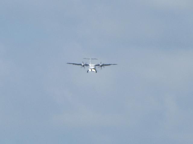 20260822_110825.JPG