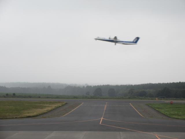 20260824_094103.JPG