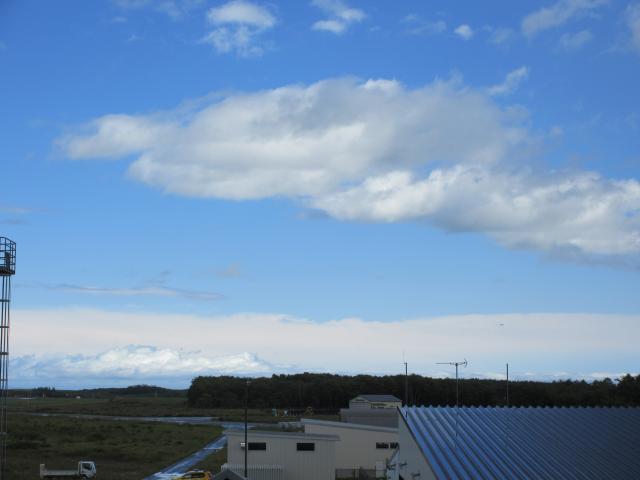 20260828_114359.JPG