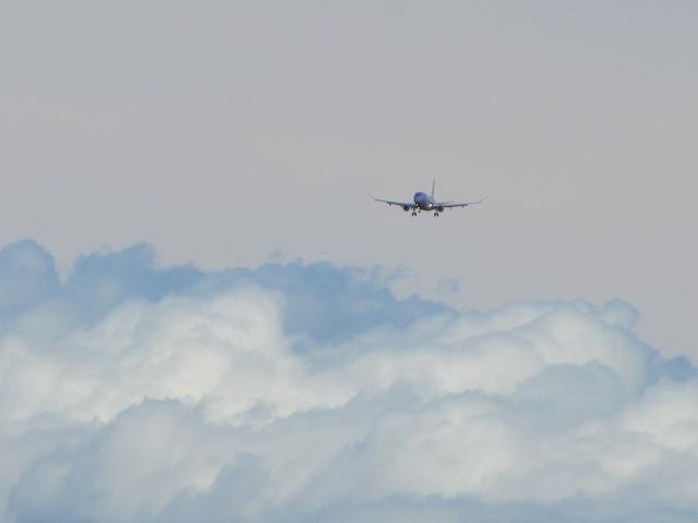 20260828_114444.JPG