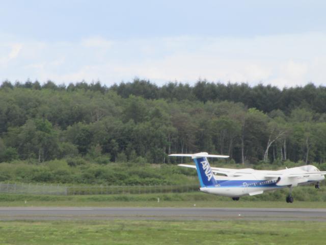 20260829_101454.JPG