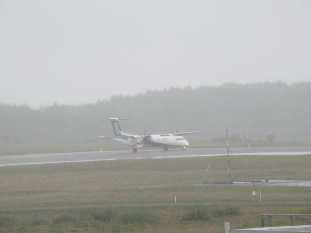 20260903_095726.JPG