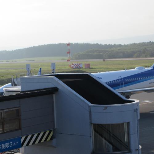 飛行機の遅れ／欠航