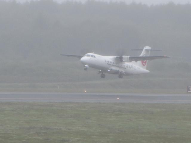 20260914_114105.JPG