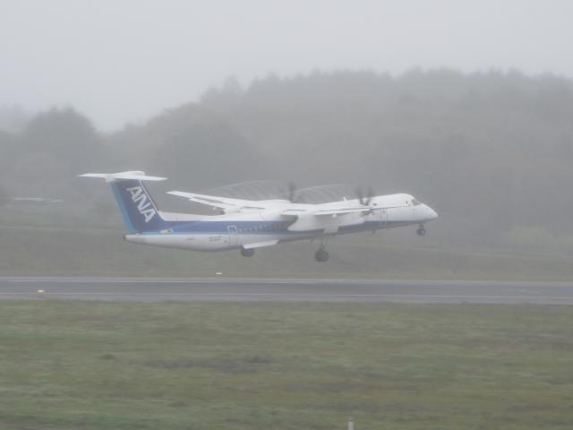 20260919_105415.JPG