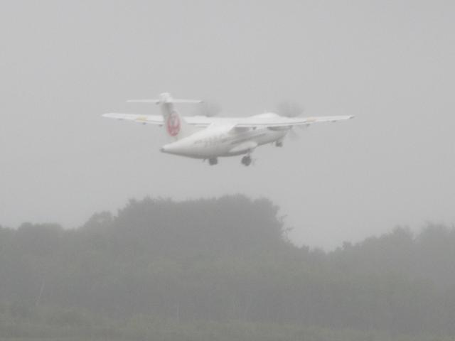 20260919_114458.JPG