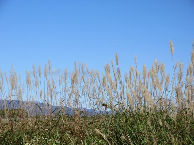20260923_101420.JPG