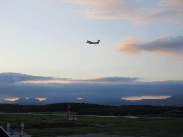 20260923_170318.JPG