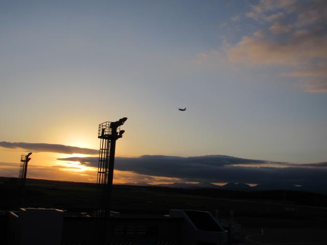 20260923_170351.JPG