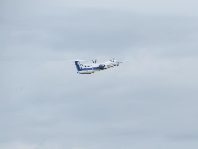 20260927_120147.JPG