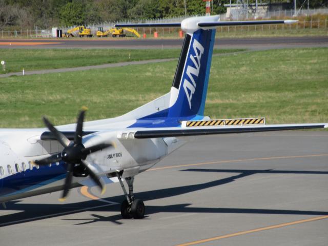 20261008_100344.JPG