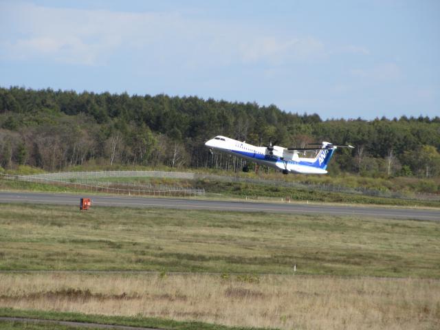20261009_094310.JPG