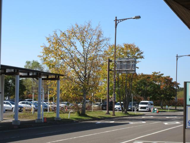 20261009_094431.JPG