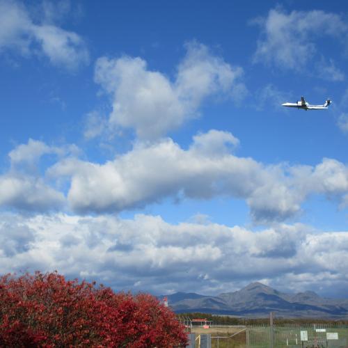 今日の中標津空港