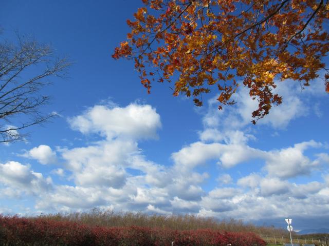 20261028_103419.JPG